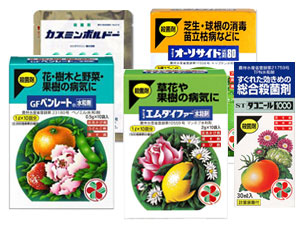 バラの病気と農薬:殺菌剤編