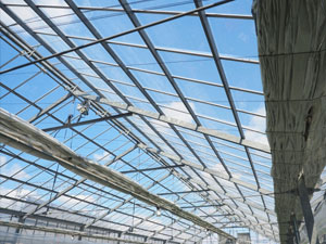 バラの栽培装置地上環境編