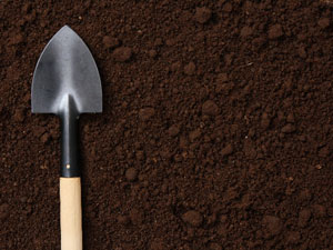 バラの栽培装置根圏環境編